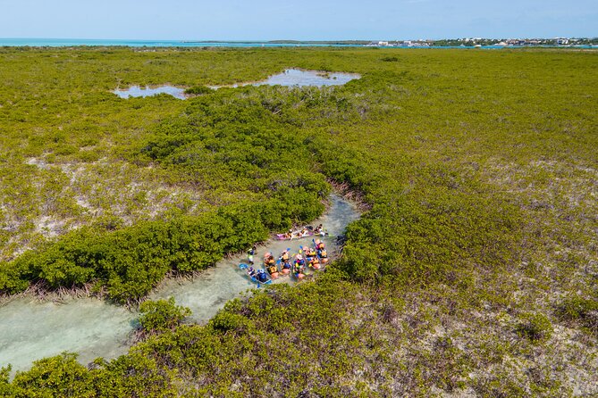 2 Hours Clear Kayaking Activity on Mangrove Cay - Paddling Into Mangrove Cay