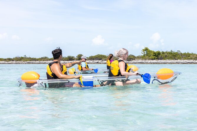 2 Hours Clear Kayaking Activity on Mangrove Cay - What You Can See Beneath a Clear Kayak