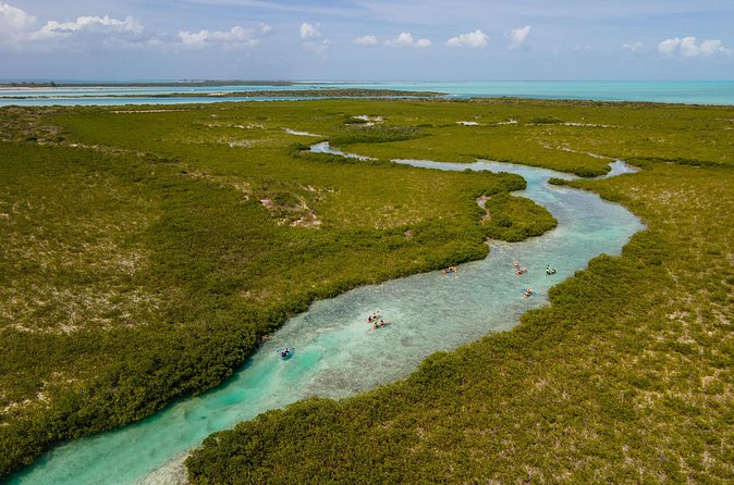 2 Hours Clear Kayaking Activity on Mangrove Cay - What the $125 Price Includes