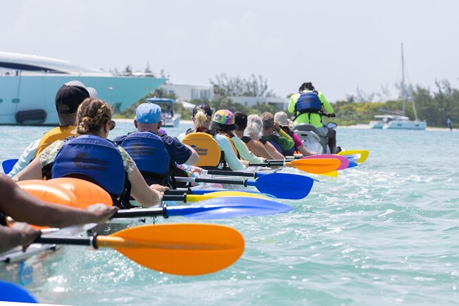 2 Hours Clear Kayaking Activity on Mangrove Cay - What the Strong Ratings Tell You