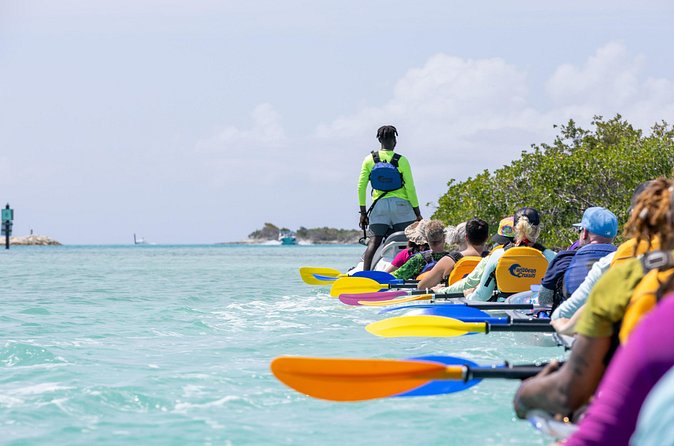 2 Hours Clear Kayaking Activity on Mangrove Cay - Booking Timing and Cancellation Rules