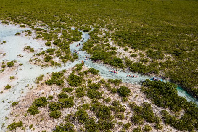 2 Hours Clear Kayaking Activity on Mangrove Cay - Two Hours, With Room for Adventure