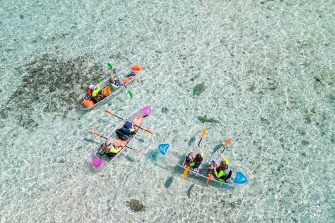 3HR Clear Kayak Mangrove and iguana island Tour in Leeward - Key points to know before you book