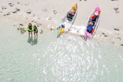 3HR Clear Kayak Mangrove and iguana island Tour in Leeward