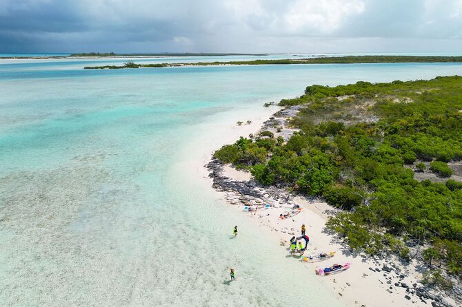 3HR Clear Kayak Mangrove and iguana island Tour in Leeward - Guides, safety, and the feel of the outing
