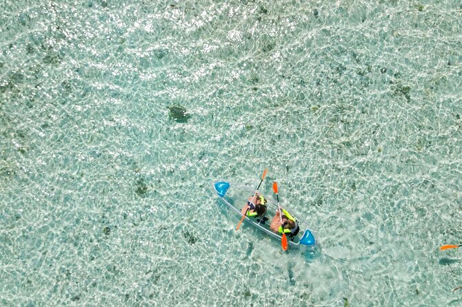 3HR Clear Kayak Mangrove and iguana island Tour in Leeward - Timing, tides, and weather