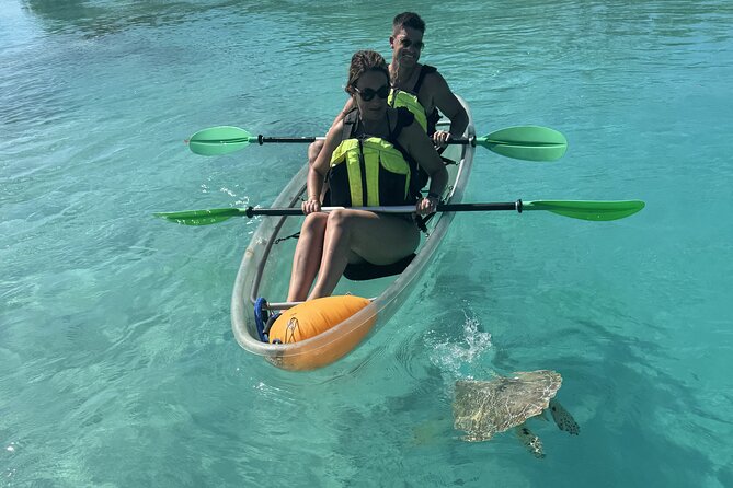3hr Clear Kayak Tour of Mangroves, Marine Life and Iguanas - Group size and physical effort