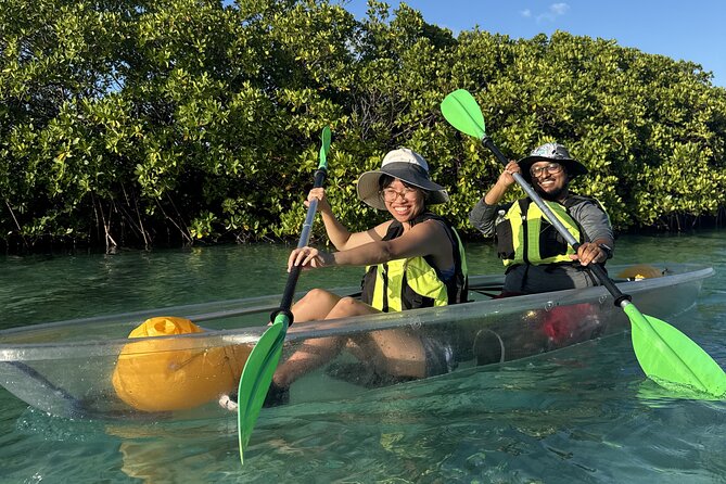 3hr Clear Kayak Tour of Mangroves, Marine Life and Iguanas - Weather, timing, and cancellation details