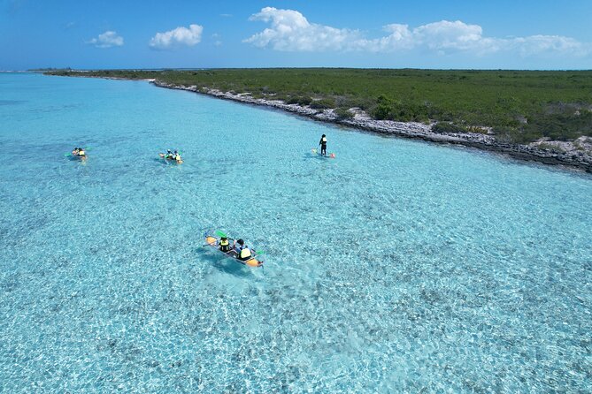 3hr Clear Kayak Tour of Mangroves, Marine Life and Iguanas - Iguana Island changes the pace