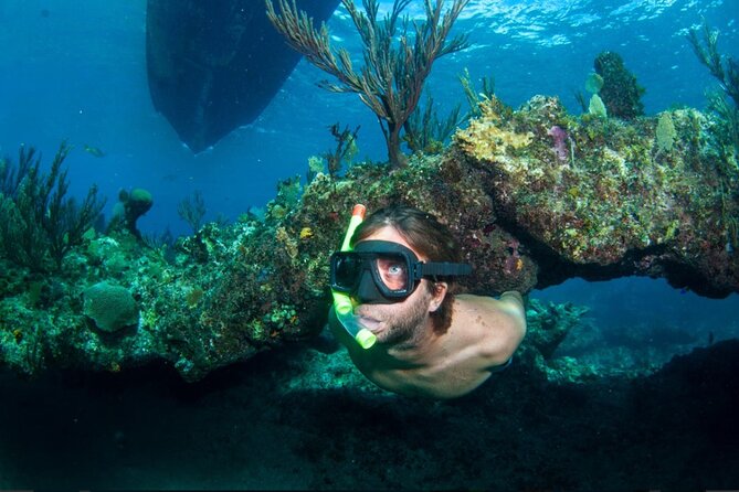 3HR Emerald reef snorkeling, iguana island and shipwreck tour - Key Things to Know Before You Book