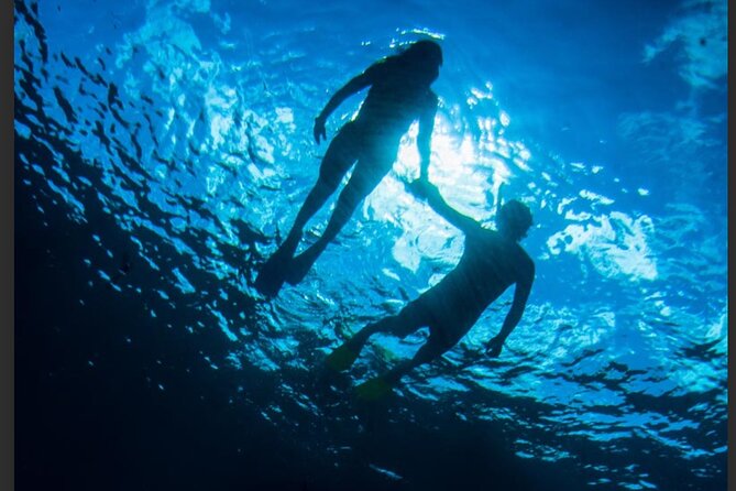 3HR Emerald reef snorkeling, iguana island and shipwreck tour - La Famille Express in Seven Feet of Water
