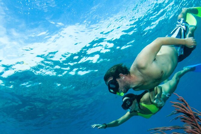 3HR Emerald reef snorkeling, iguana island and shipwreck tour - Food, Drinks, and the Boat Atmosphere