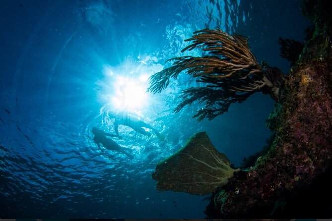 3HR Emerald reef snorkeling, iguana island and shipwreck tour - How Much Value Do You Get for $125?