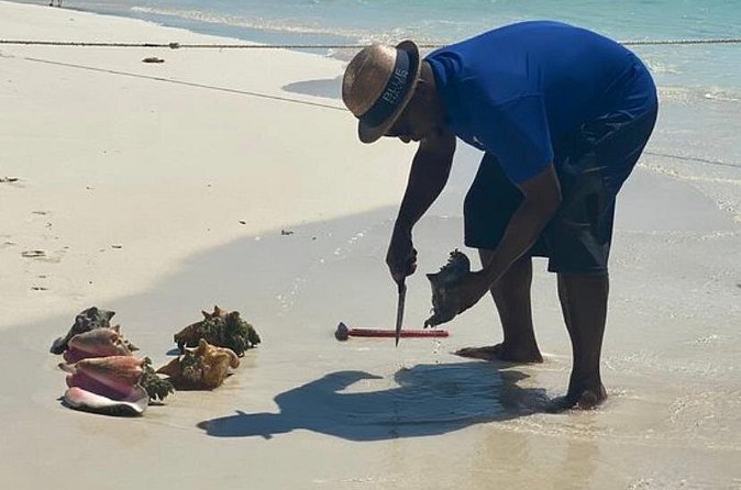 3hr Seaside Scavenger hunt - How the crew shapes the experience