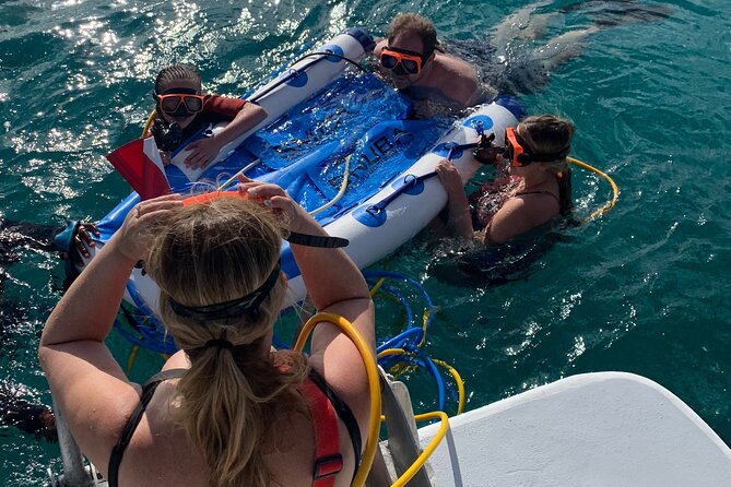 3HR Snuba, shipwreck and Iguana island tour - Key points to know before you book