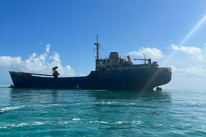 3HR Snuba, shipwreck and Iguana island tour - Who should choose this Providenciales excursion?