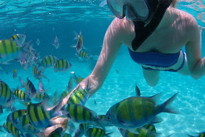 4-Hour Catamaran Sail and Snorkel Tour from Grace Bay - Price, Group Size, and Overall Value