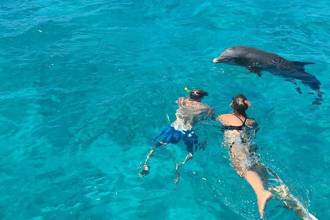 4-Hour Catamaran Sail and Snorkel Tour from Grace Bay - Who Should Book This Catamaran Trip?