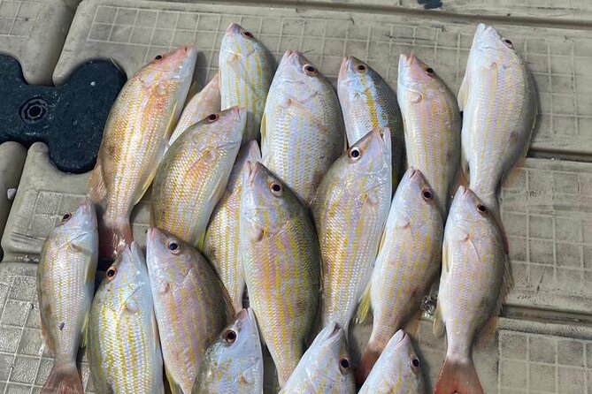 4HR-Halfday Private Fishing Tour in Gracebay - Setting out onto the Caicos Bank at 8:30 am