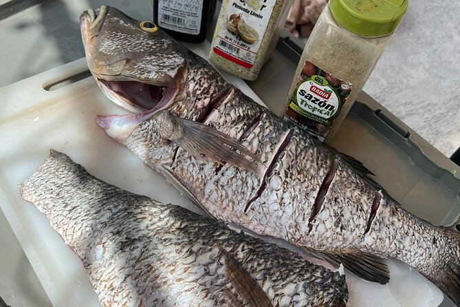 4HR-Halfday Private Fishing Tour in Gracebay - Drinks, snacks, and the practical extras