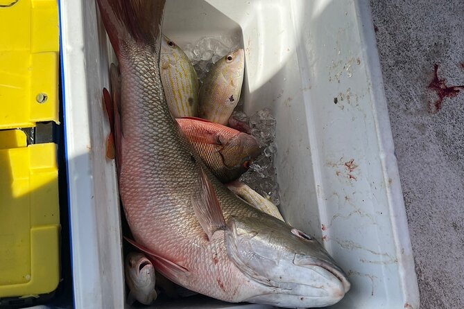 4HR-Halfday Private Fishing Tour in Gracebay - The mechanical problems you should take seriously