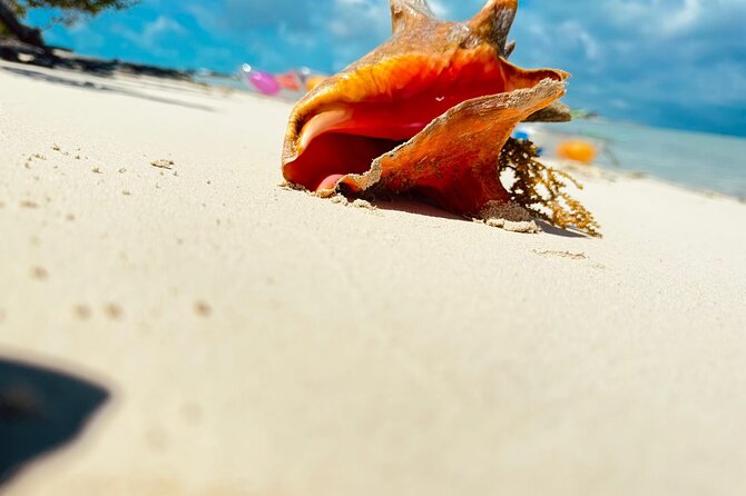 4HR Private Half-day Boat in Gracebay - Why a private Grace Bay charter makes sense