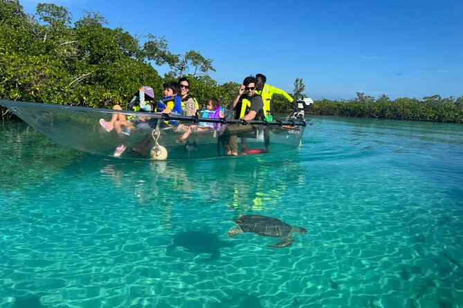 6-Passenger Motorized Clear Kayak Mangrove Tour in Providenciales - Quick take: the details that matter most