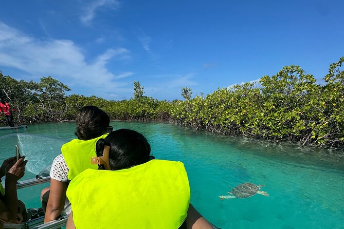 6-Passenger Motorized Clear Kayak Mangrove Tour in Providenciales - Meeting at Mangrove Cay in Providenciales