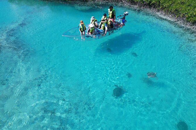 6-Passenger Motorized Clear Kayak Mangrove Tour in Providenciales - Cruising the winding channels of Mangrove Cay