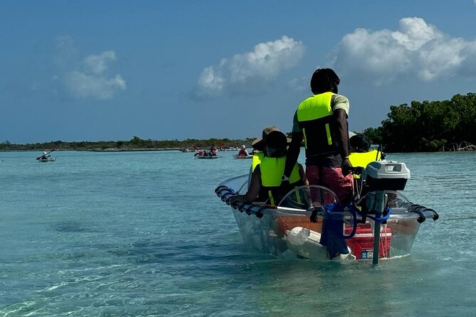 6-Passenger Motorized Clear Kayak Mangrove Tour in Providenciales - What families, couples, and friends will like