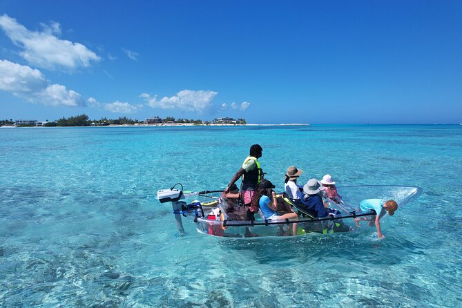 6-Passenger Motorized Clear Kayak Mangrove Tour in Providenciales - Practical planning for a smooth outing