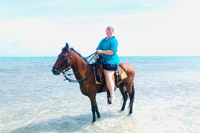 60-Minute Private Horseback Riding Experience in Turks and Caicos - Meeting the horses and learning the basics