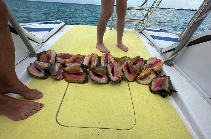 6HR-Provo Cays exploration with Lunch in Gracebay - Conch hunting and fresh ceviche