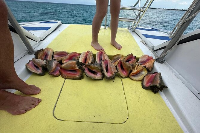 6HR-Provo Cays exploration with Lunch in Gracebay - Sandbars and the ride back