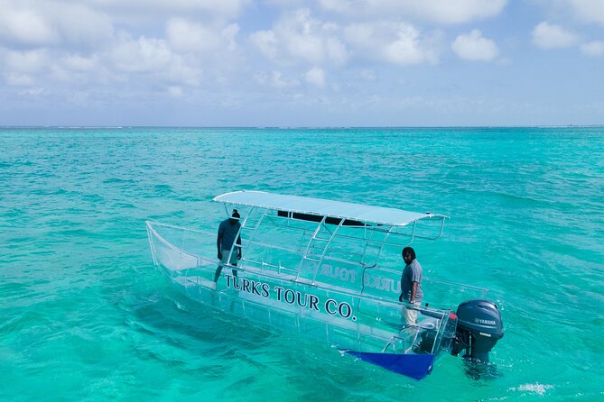 75 Minutes Clear Boat Tour in Caicos Island - The marine life you may see