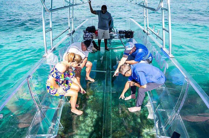 75 Minutes Clear Boat Tour in Caicos Island - Getting to Turtle Cove Marina