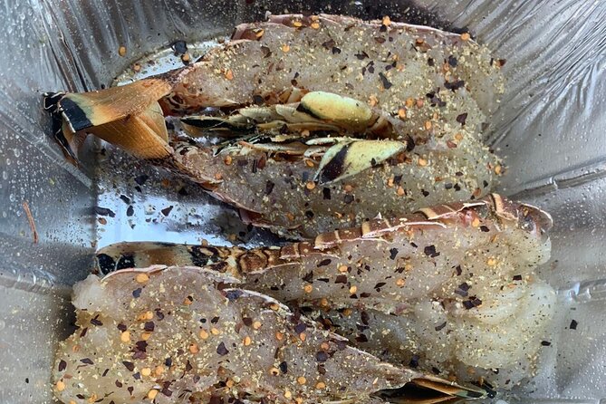 8HR Catch and Grill in Turks and Caicos Islands - Boat comfort, pickup, and the extra cost