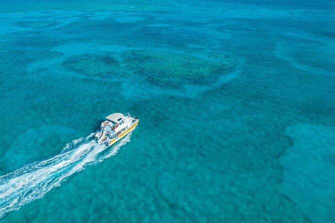 Afternoon Half Day Cruise from Providenciales with Snorkeling and Iguana Island - Key things to know before you book