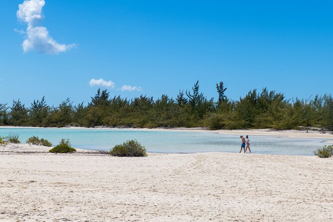 Afternoon Half Day Cruise from Providenciales with Snorkeling and Iguana Island - Lunch, rum punch, and what arrives when