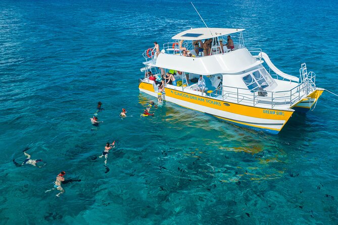 Afternoon Half Day Cruise from Providenciales with Snorkeling and Iguana Island - Cruising past Grace Bay Beach