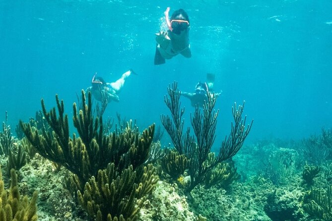All Day Adventure with a Beach BBQ Feast from Providenciales - A beach BBQ on an uninhabited island