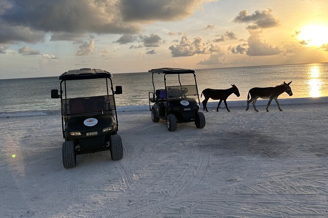 BMC Rentals -Golf Carts & Jeep Wrangler in Grand Turks - Why a Golf Cart Makes Sense on Grand Turk