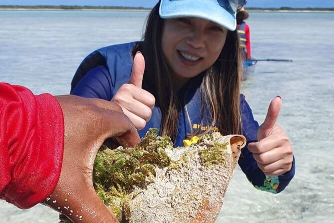 Clear Bottom Kayaks Mangrove Tour - The Natural Story Behind the Wildlife