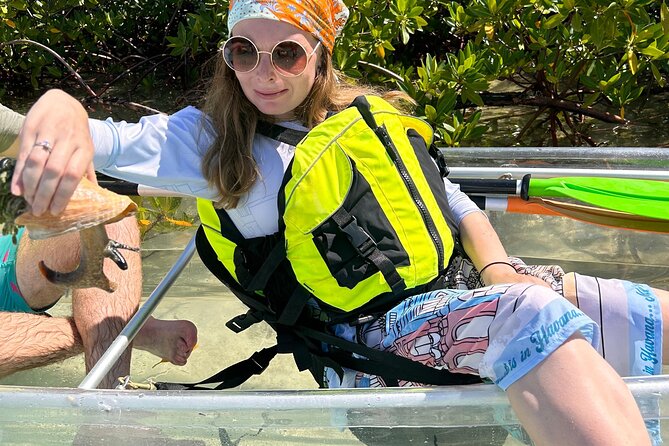 Clear Kayak Eco Tour Explore Mangroves and Meet the Turtles - What happens from pickup to the mangroves