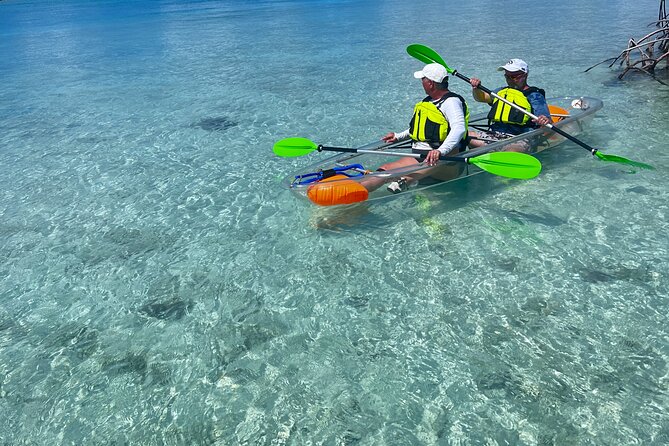 Clear Kayak Eco Tour Explore Mangroves and Meet the Turtles - Why an early start can improve the outing