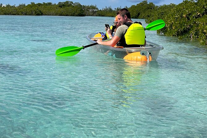 Clear Kayak Eco Tour Explore Mangroves and Meet the Turtles - Who should book this experience
