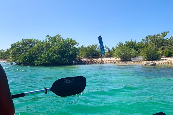 Clear kayak Grand Turk Island Kayak Tour of the mangroves - A private trip with a new-business feel