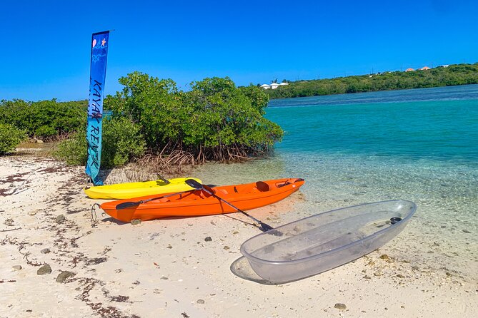 Clear kayak Grand Turk Island Kayak Tour of the mangroves - Timing, price, and cruise-port planning