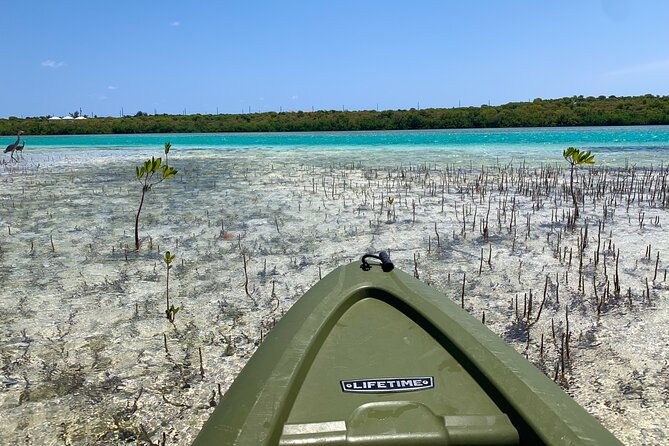 Clear kayak Grand Turk Island Kayak Tour of the mangroves - The shipwreck and dredging barge