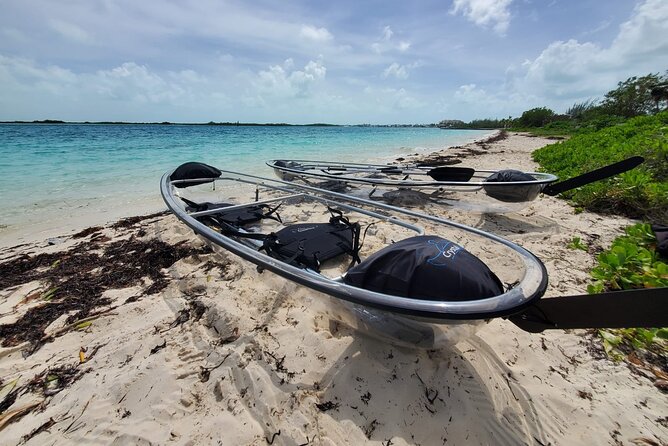 Clear Kayak Mangrove Eco Tour - Key points before you book
